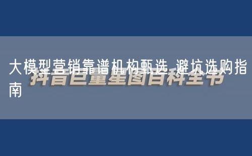 大模型营销靠谱机构甄选：避坑指南与资质审查