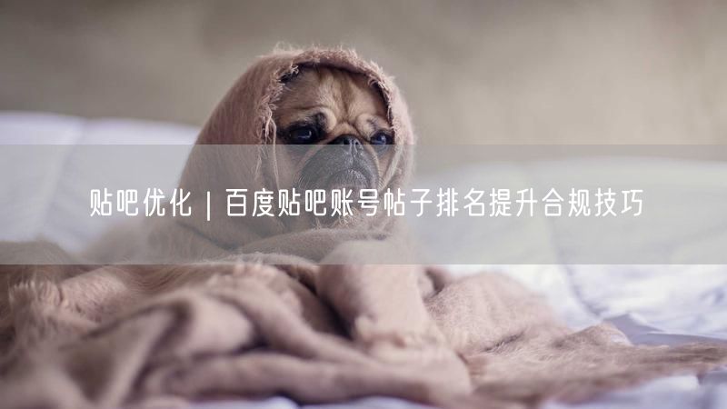 贴吧优化攻略：百度贴吧账号帖子排名提升合规法