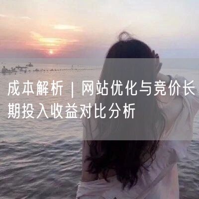 成本解析：网站优化VS竞价推广长期收益对比