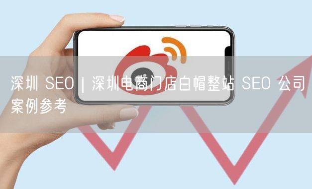 深圳时尚服饰电商：白帽整站SEO优化成功案例