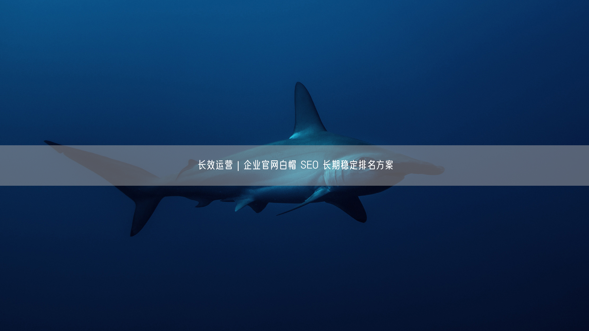长效运营企业官网：白帽SEO实现长期稳定排名方案