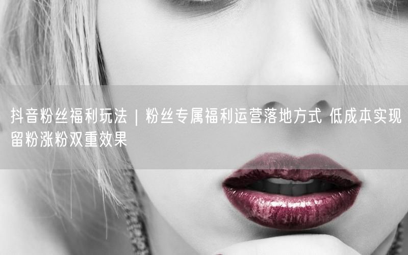 抖音粉丝福利玩法揭秘：低成本涨粉+高效留粉策略