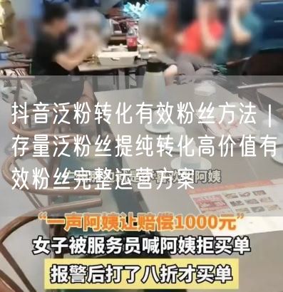 抖音泛粉转化秘籍：存量提纯，打造高价值粉丝运营方案