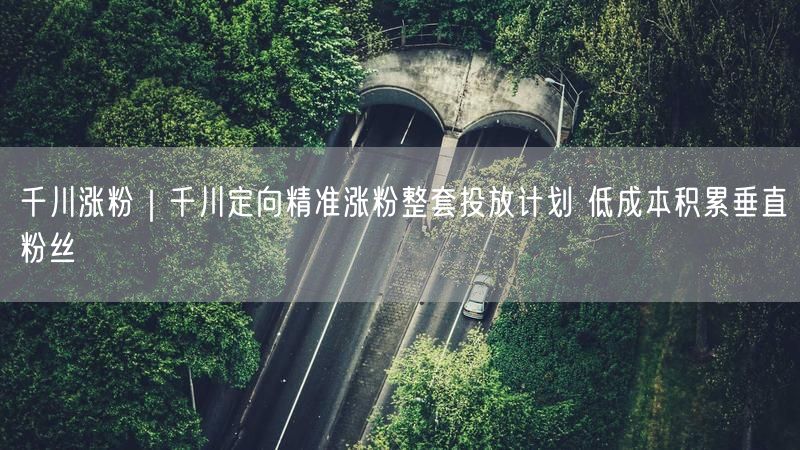 千川涨粉攻略：精准投放计划，低成本获垂直粉丝