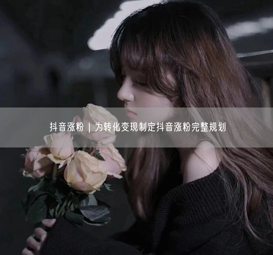 抖音涨粉实操指南：精准规划，高效转化变现避坑