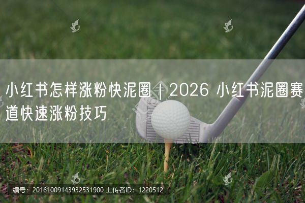 2026小红书泥圈赛道：快速涨粉技巧与运营攻略