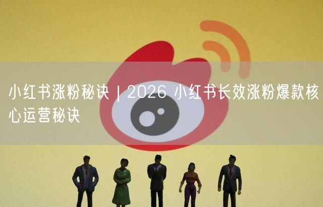 2026小红书涨粉秘诀：长效运营+爆款+互动+定位