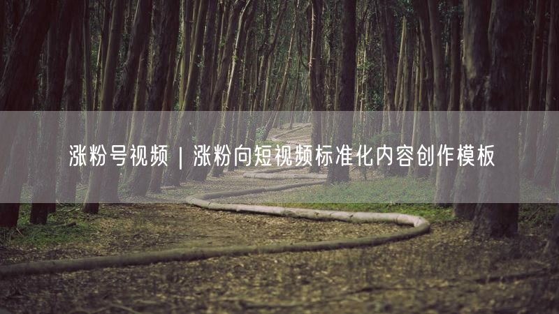 涨粉号视频必看：短视频创作模板+实操涨粉技巧