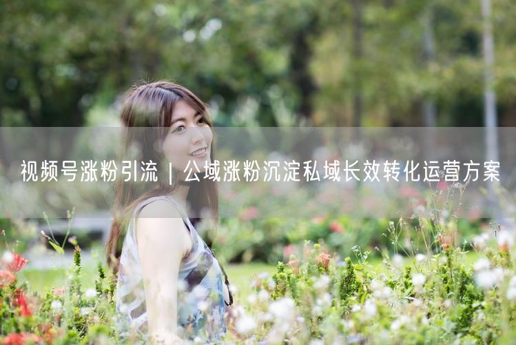 视频号涨粉引流：公域转私域，长效运营方案