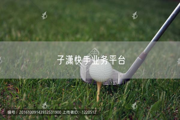 子潇快手业务平台