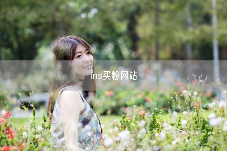 ins买粉网站