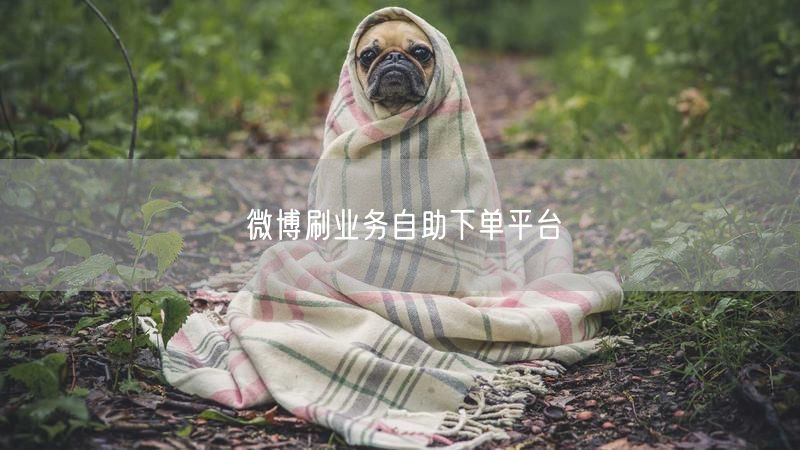微博刷业务自助下单平台