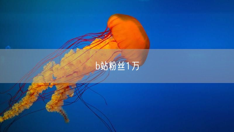 b站粉丝1万
