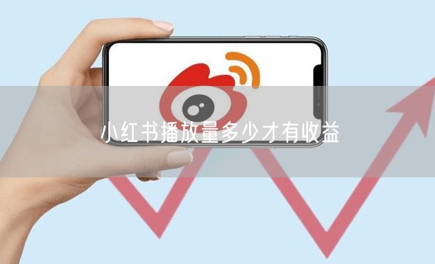 小红书播放量多少才有收益