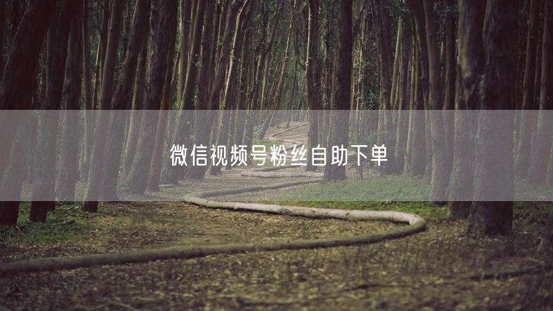 微信视频号粉丝自助下单