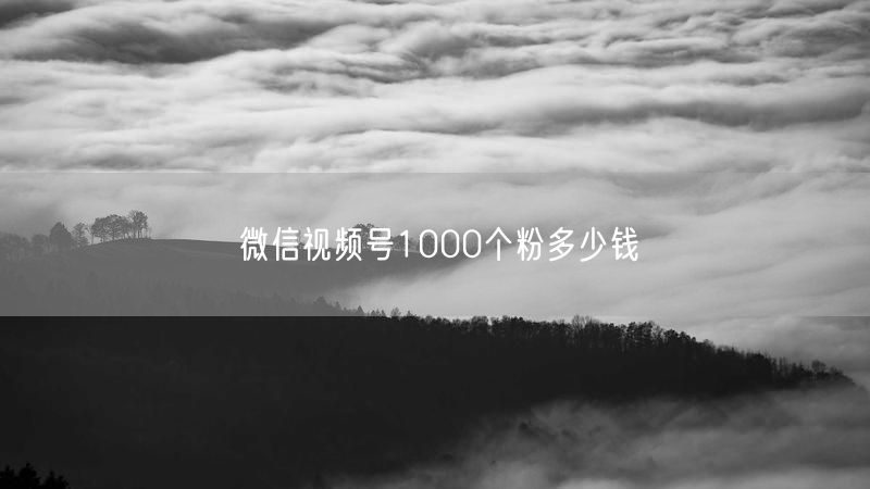 微信视频号1000个粉多少钱