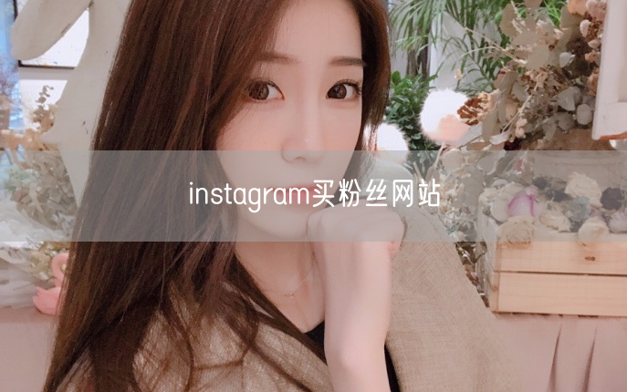 instagram买粉丝网站