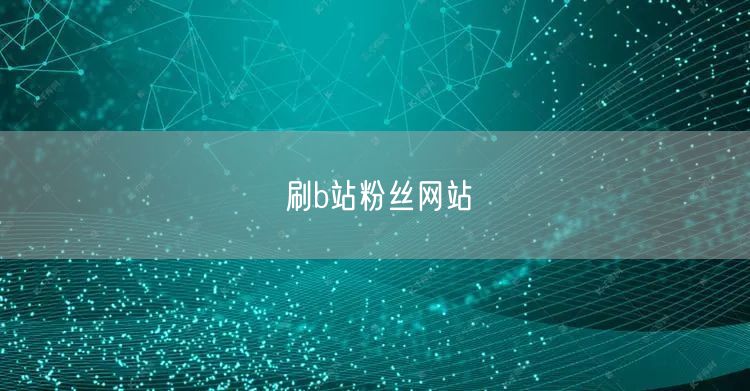 刷b站粉丝网站
