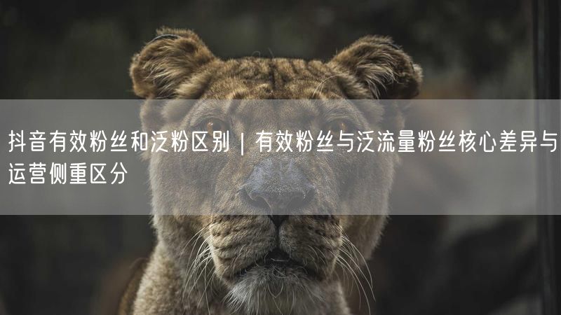 抖音有效粉丝和泛粉区别｜有效粉丝与泛流量粉丝核心差异与运营侧重区分
