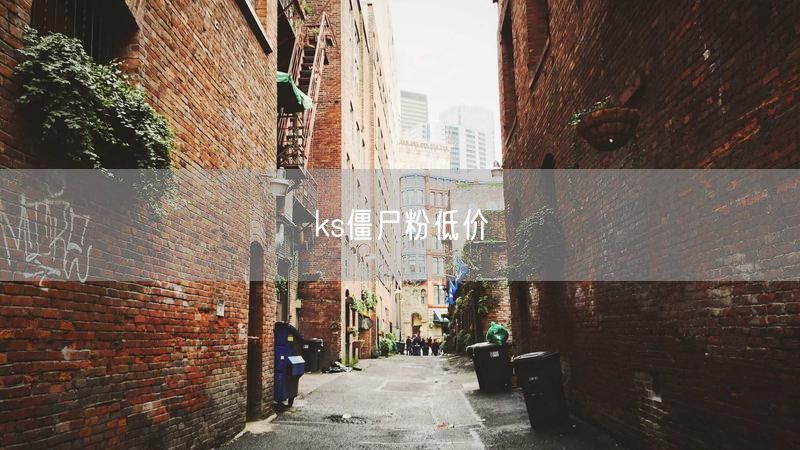 ks僵尸粉低价