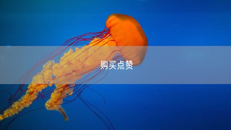 购买点赞