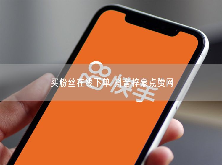 买粉丝在线下单 抖音梓豪点赞网