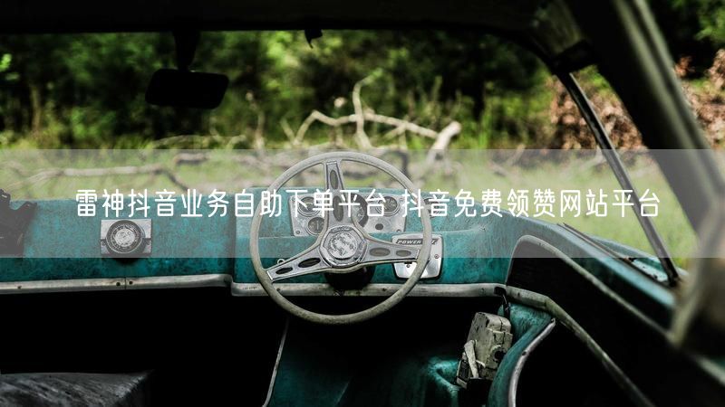 雷神抖音业务自助下单平台 抖音免费领赞网站平台