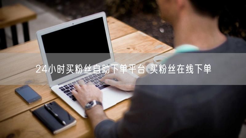 24小时买粉丝自助下单平台 买粉丝在线下单