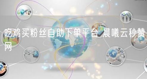 吃鸡买粉丝自助下单平台 晨曦云秒赞网