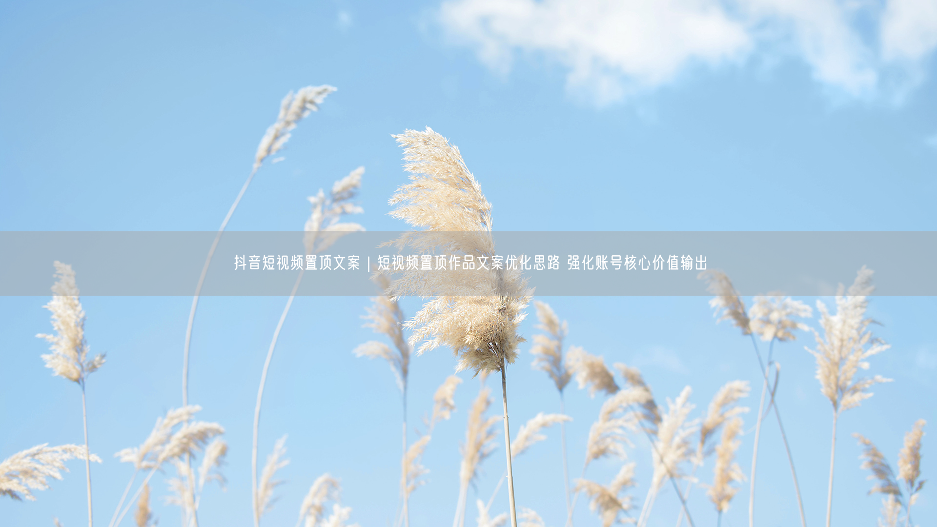 抖音短视频置顶文案｜短视频置顶作品文案优化思路 强化账号核心价值输出