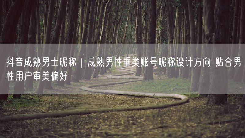 抖音成熟男士昵称｜成熟男性垂类账号昵称设计方向 贴合男性用户审美偏好