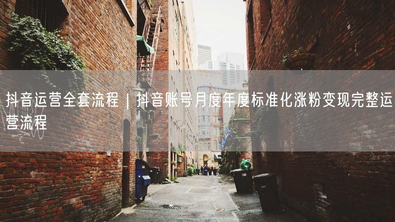 抖音运营全套流程｜抖音账号月度年度标准化涨粉变现完整运营流程