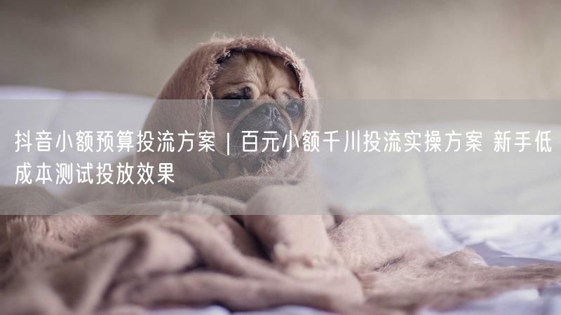 抖音小额预算投流方案｜百元小额千川投流实操方案 新手低成本测试投放效果