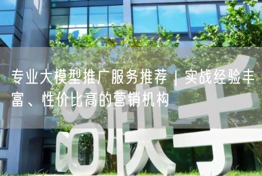 专业大模型推广服务推荐｜实战经验丰富、性价比高的营销机构