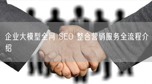 企业大模型全网 SEO 整合营销服务全流程介绍