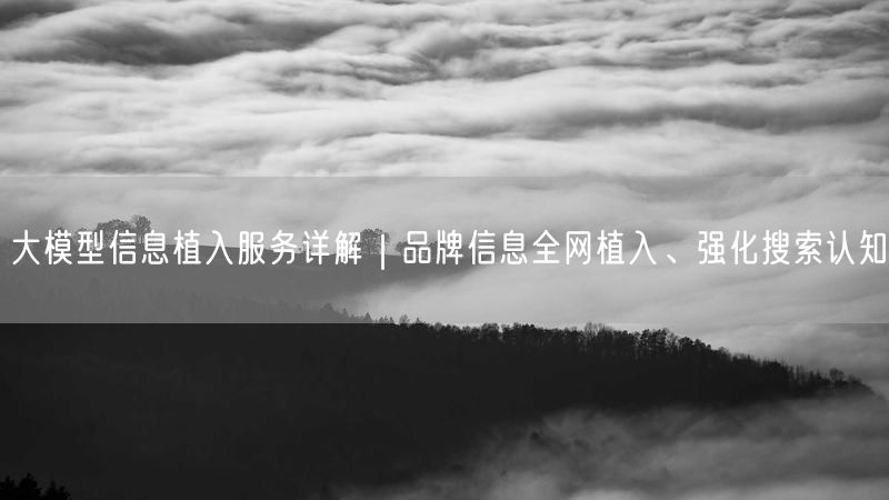 大模型信息植入服务详解｜品牌信息全网植入、强化搜索认知
