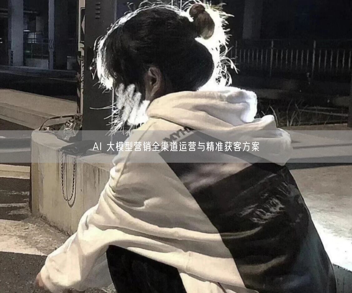 AI 大模型营销全渠道运营与精准获客方案