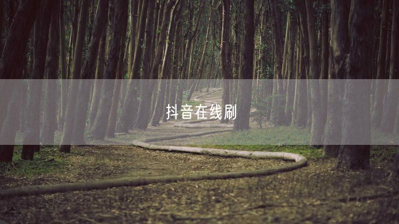 抖音在线刷