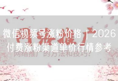 微信视频号涨粉价格｜2026 付费涨粉渠道单价行情参考
