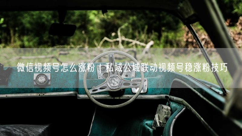 微信视频号怎么涨粉｜私域公域联动视频号稳涨粉技巧