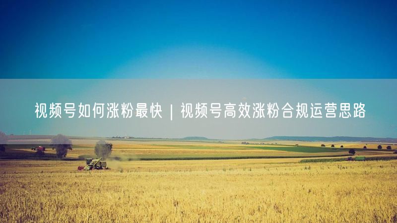 视频号如何涨粉最快｜视频号高效涨粉合规运营思路