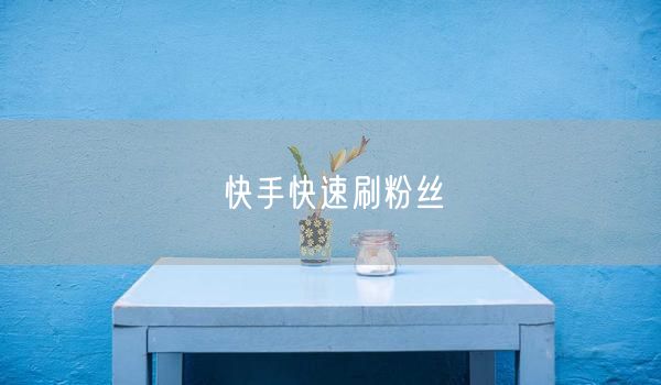 快手快速刷粉丝