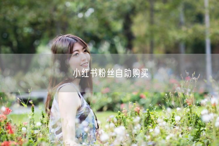 小红书粉丝自助购买