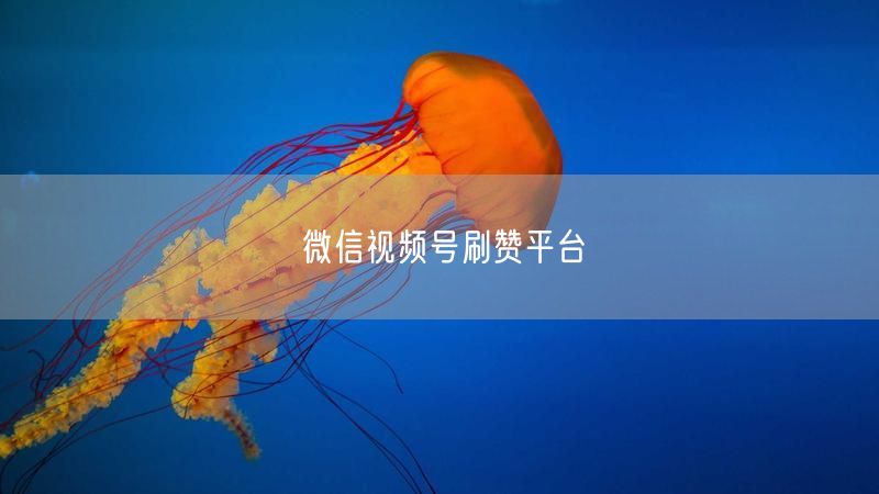 微信视频号刷赞平台