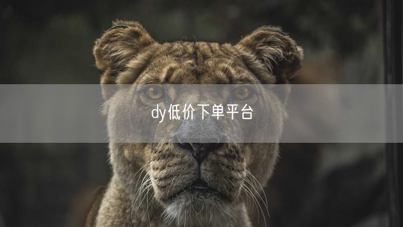 dy低价下单平台