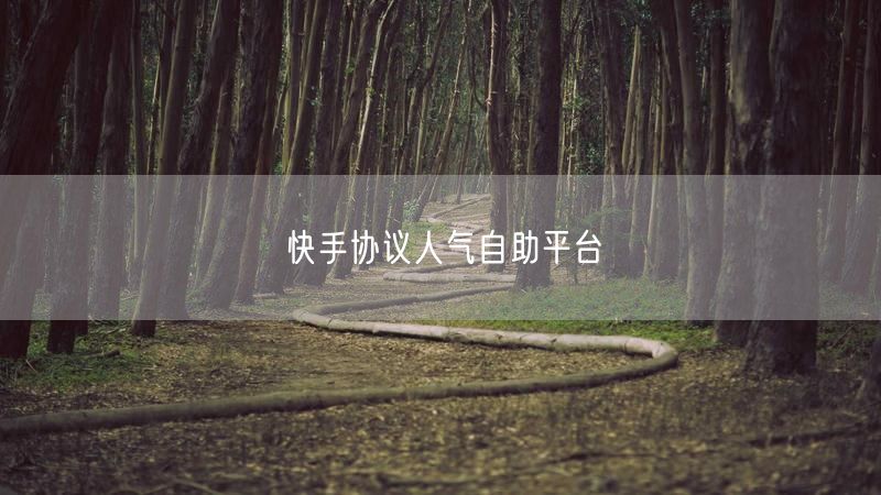 快手协议人气自助平台