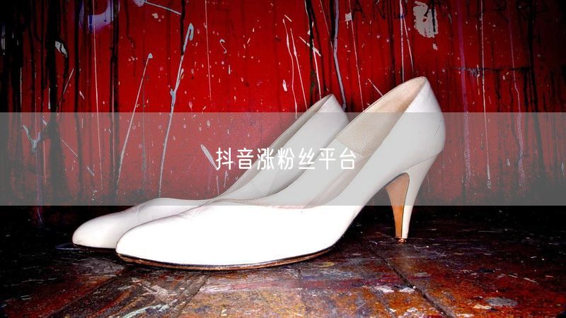 抖音涨粉丝平台