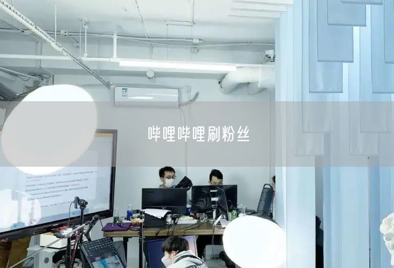 哔哩哔哩刷粉丝