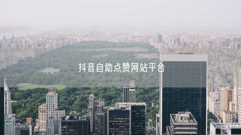 抖音自助点赞网站平台
