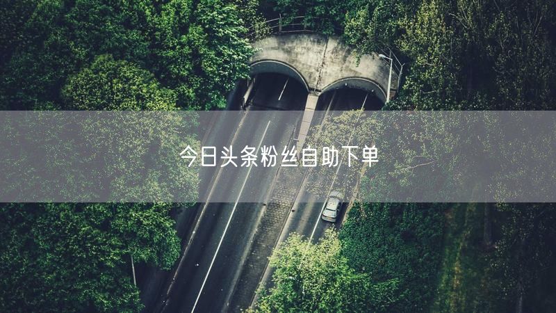 今日头条粉丝自助下单